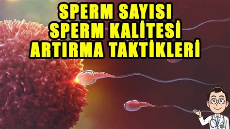 sperm sayisini yukseltmek icin ne yapmalı